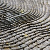 Old Beach Log, Jordan River, BC