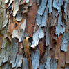 Peeling/Renewal