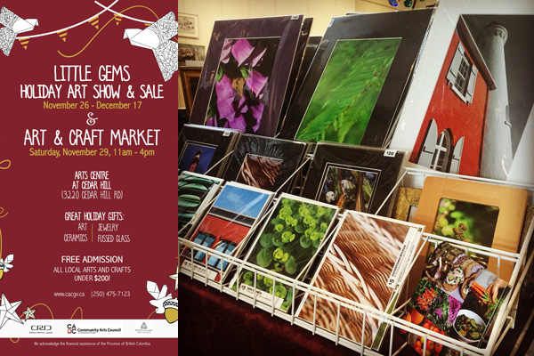 Little Gems Art Show and Sale at Cedar Hill Rec Centre - Nov 2014